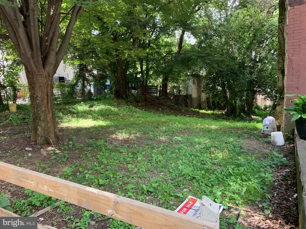 a view of yard with green space