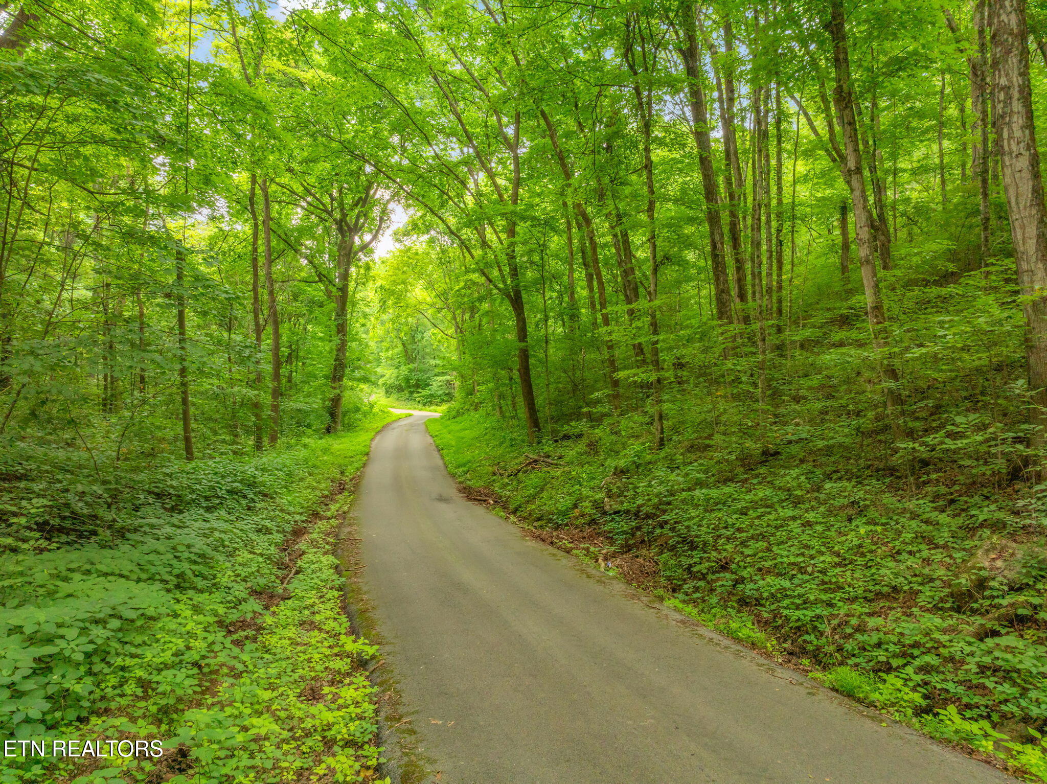 Dunville Gap Road Rutledge, TN 37861 - Photo 10 of 20 11-web-or-mls-Dunville Gap Road-18