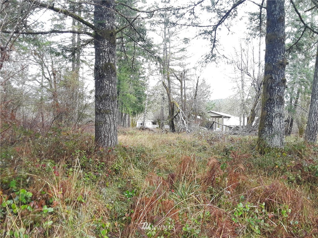 1415 North Fork Road Chehalis, WA 98532 - Photo 21 of 21