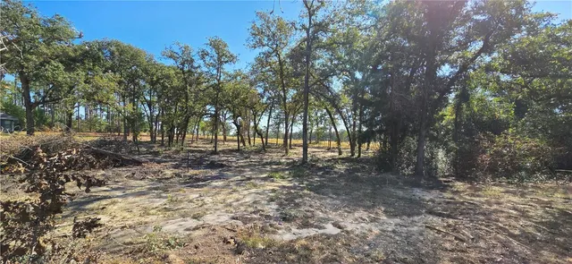 a view of backyard with green space
