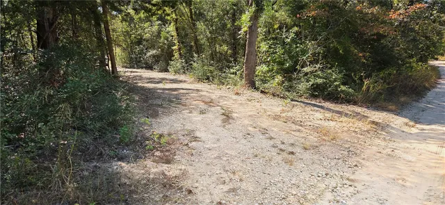 a view of a yard with large trees