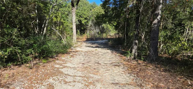 a view of a yard with plants and trees