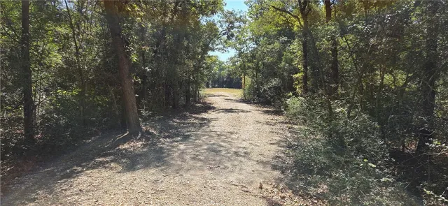a view of a yard with trees