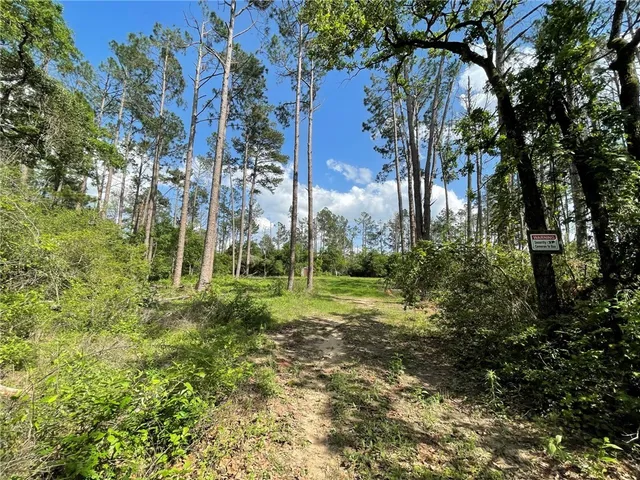a view of backyard with green space