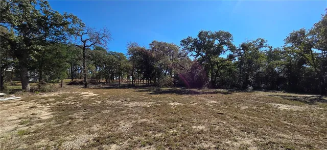 a view of a yard with a tree