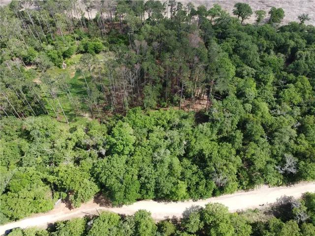 a view of a lush green forest with trees and houses