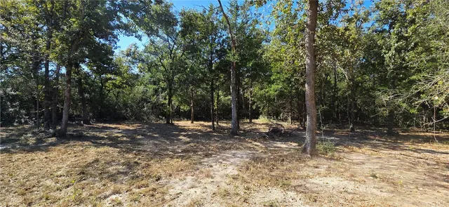 a view of a yard with a tree