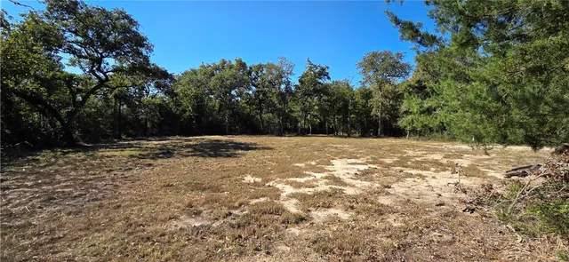 a view of outdoor space with trees