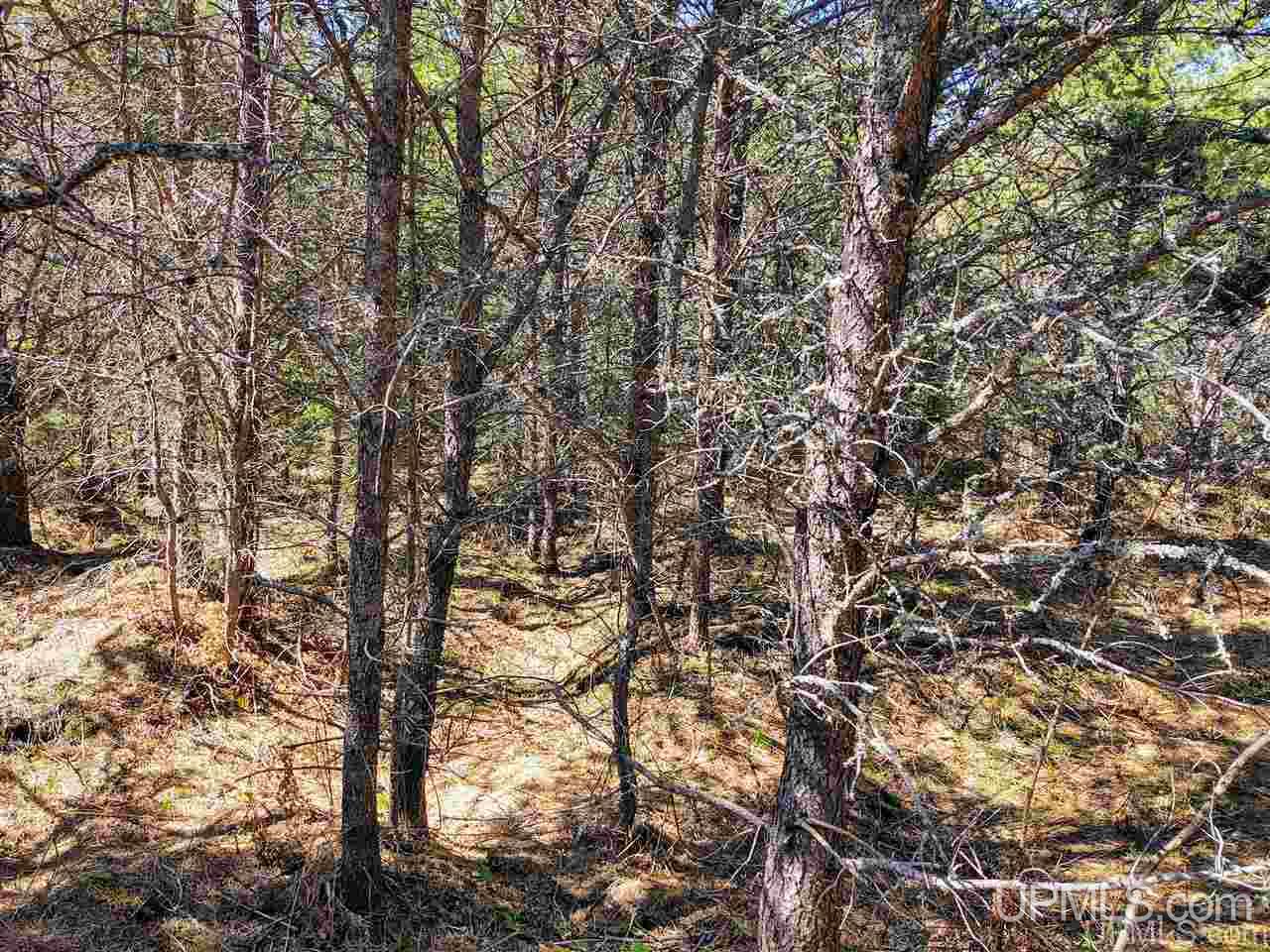 Tbd Forest Hwy 16 Road Iron River, MI 49935 - Photo 33 of 49