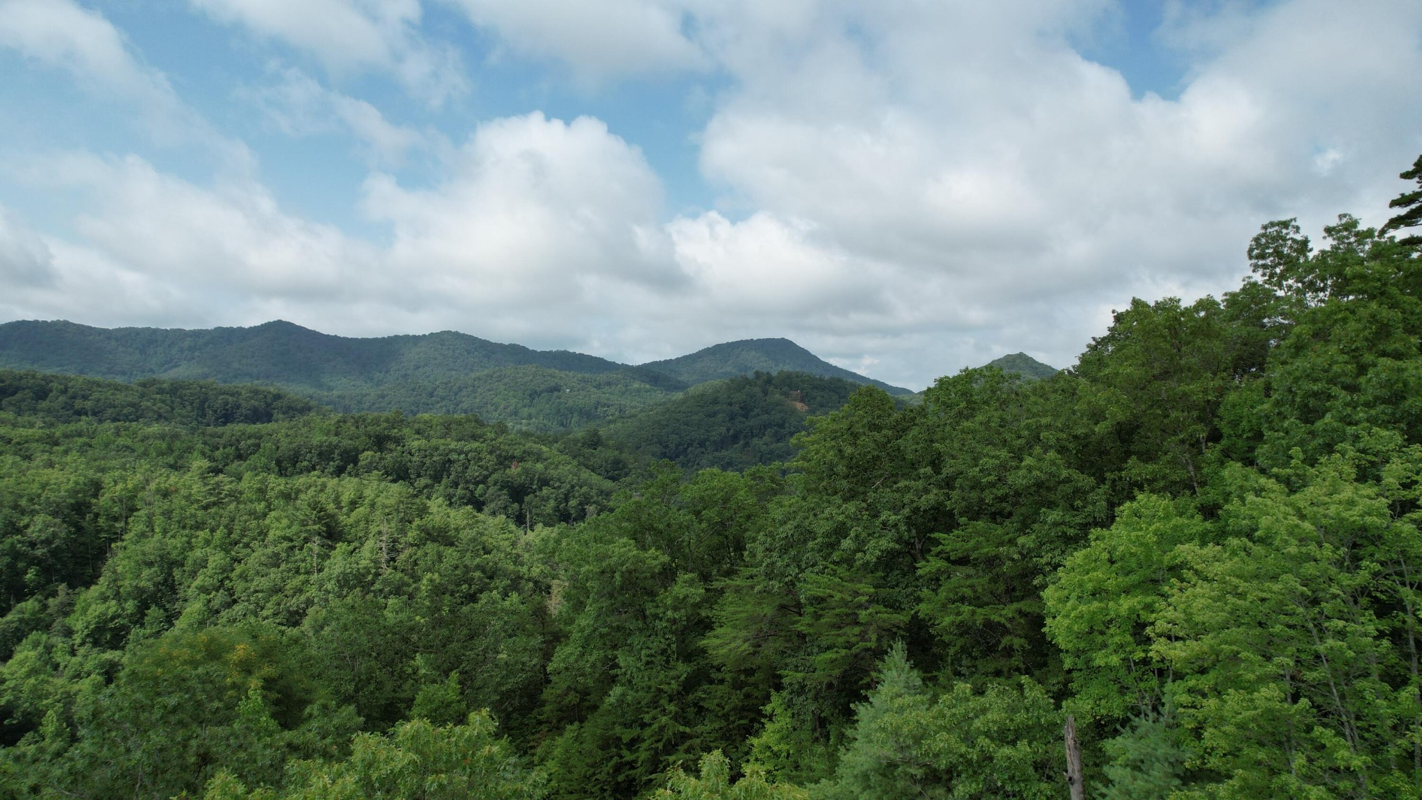 98 Black Powder Lane Sevierville, TN 37862 - Photo 24 of 30