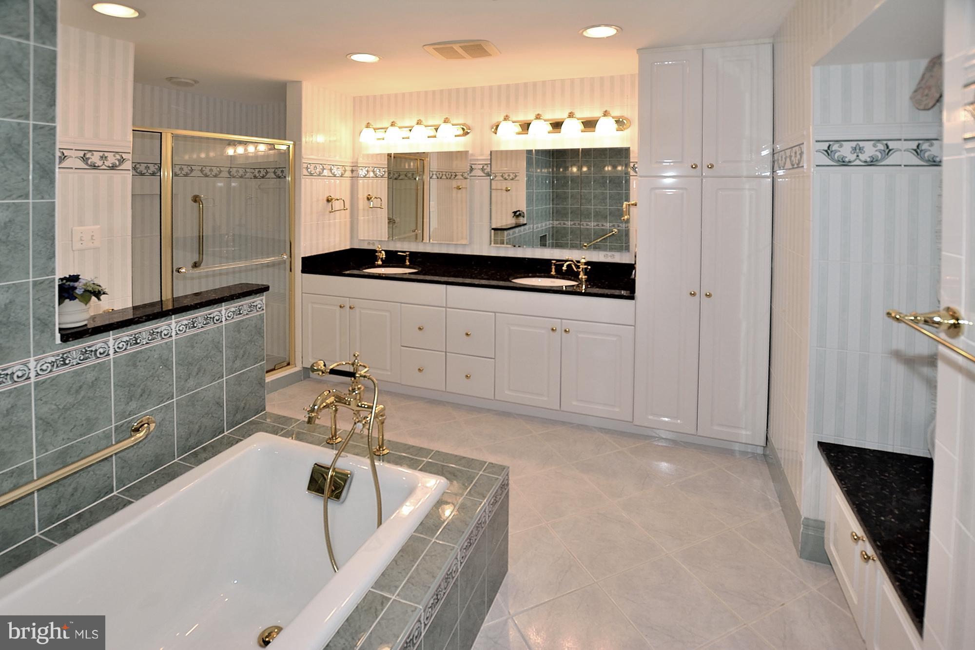 11093 Robert Carter Road Fairfax Station, VA 22039 - Photo 17 of 30 a bathroom with a tub sink and mirror