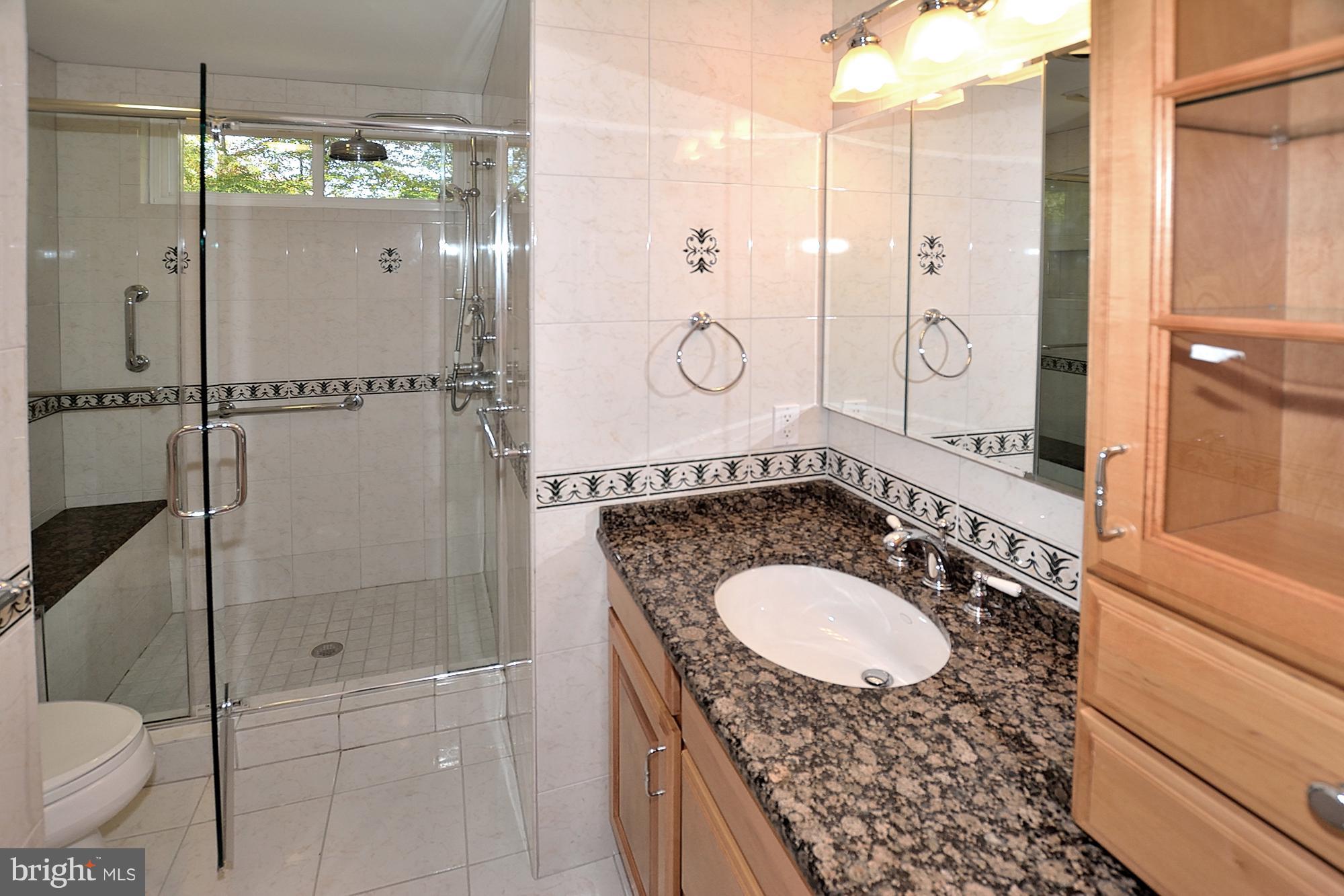 11093 Robert Carter Road Fairfax Station, VA 22039 - Photo 21 of 30 a bathroom with a granite countertop sink a toilet and shower
