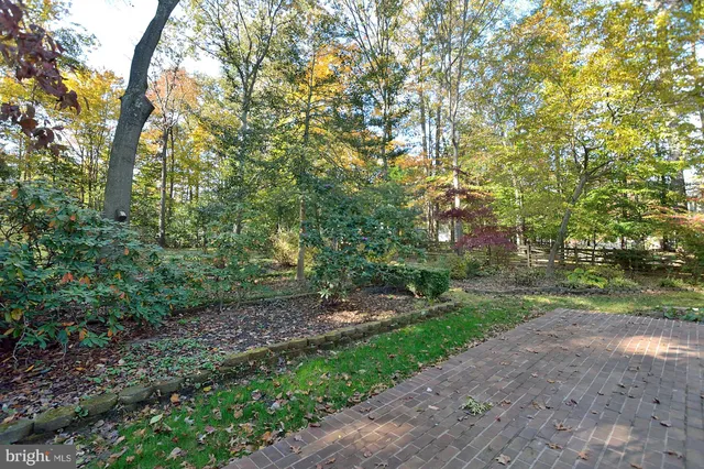 a view of a park with large trees