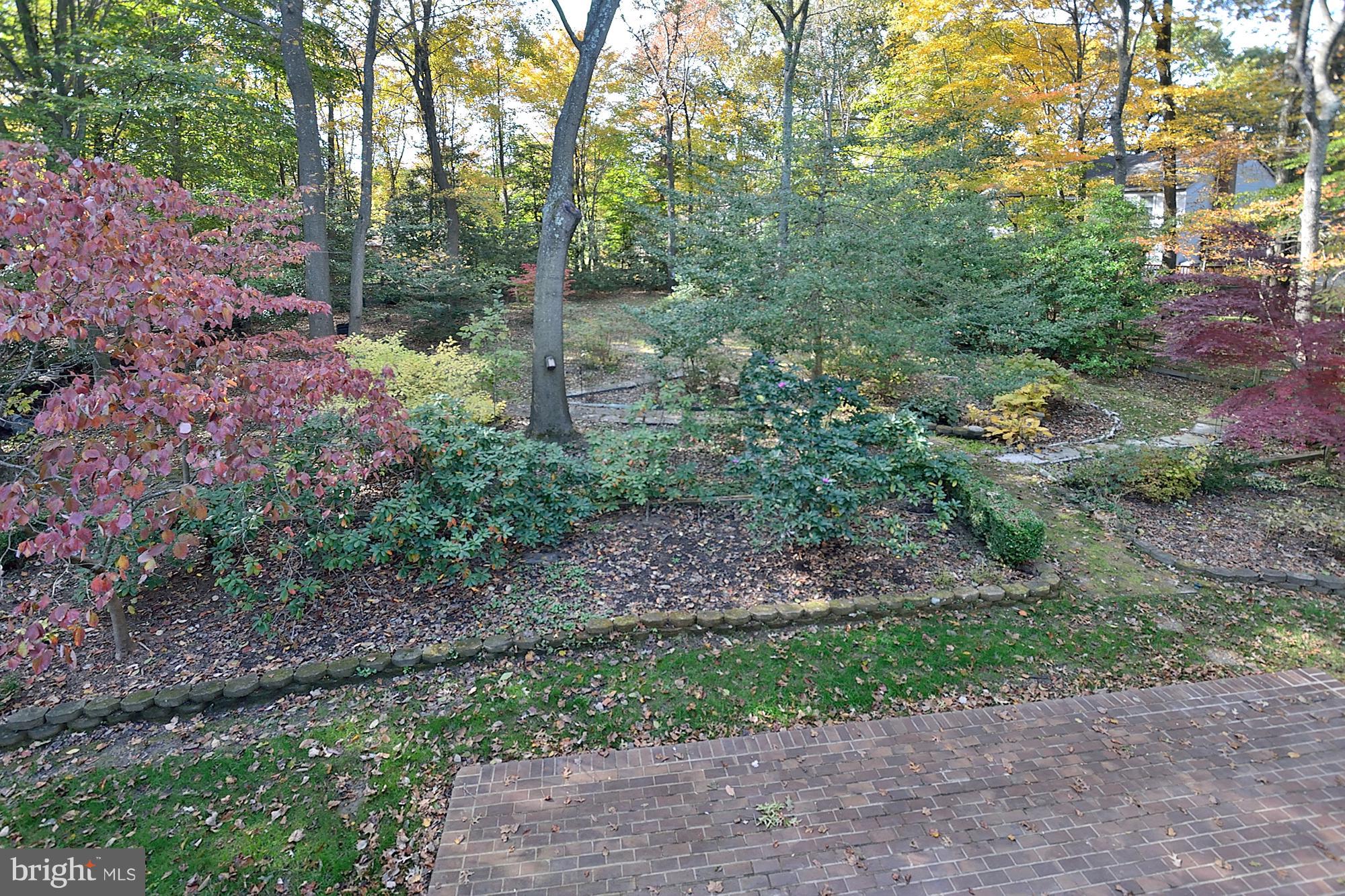 11093 Robert Carter Road Fairfax Station, VA 22039 - Photo 30 of 30 a big yard with lots of green space and plants