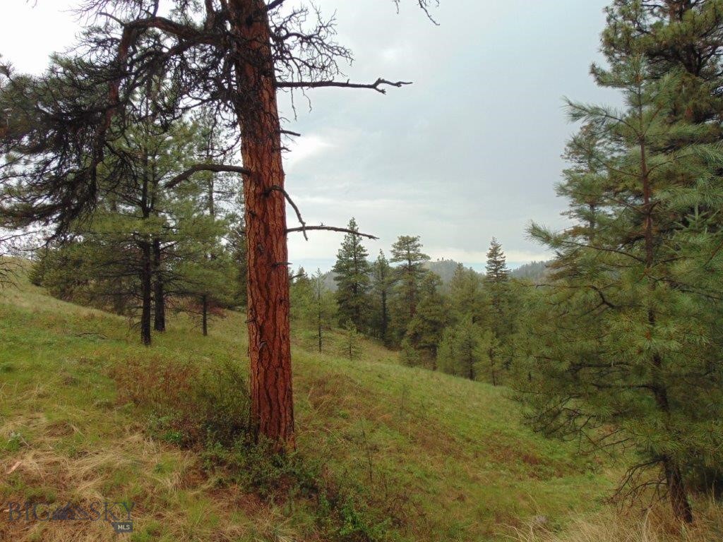 Tbd Shady Spring Lane Cascade, MT 59421 - Photo 5 of 78 Gallery Image 5