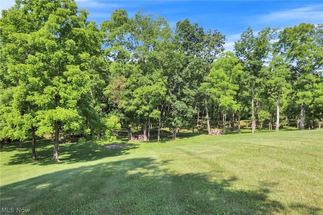 60145 Bliss Road New Concord, OH 43762 - Photo 43 of 49