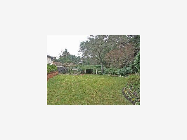 259 Bridge Road Hillsborough, CA 94010 - Photo 9 of 9 a picture of a person on a field