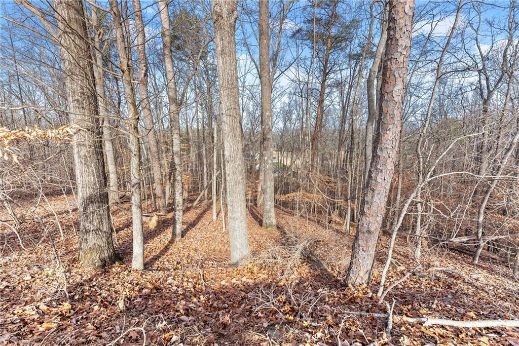 3522 Lighthouse Lane Gainesville, GA 30504 - Photo 6 of 20