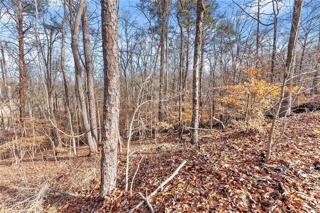 3522 Lighthouse Lane Gainesville, GA 30504 - Photo 7 of 20