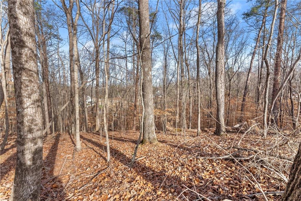 3522 Lighthouse Lane Gainesville, GA 30504 - Photo 8 of 20