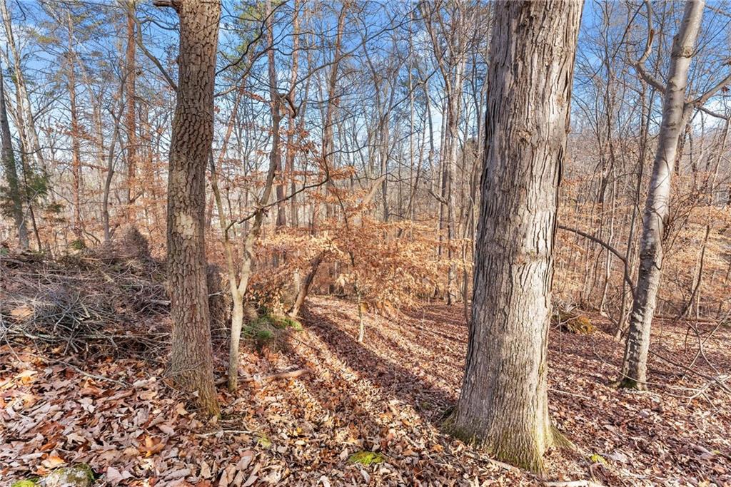 3522 Lighthouse Lane Gainesville, GA 30504 - Photo 9 of 20
