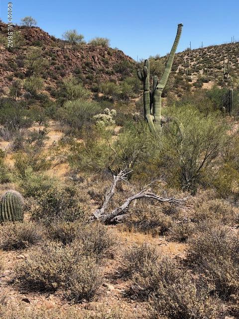 North Park Ridge Place Tucson, AZ 85743 - Photo 9 of 10