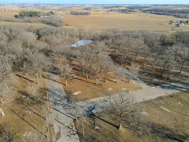 a view of road with large trees