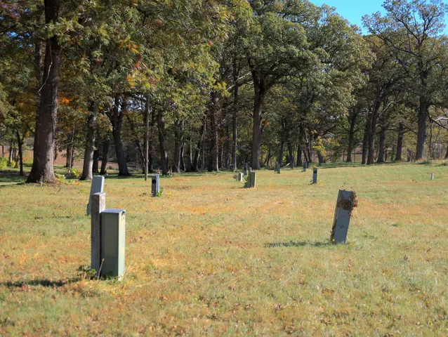a view of a field with trees in background
