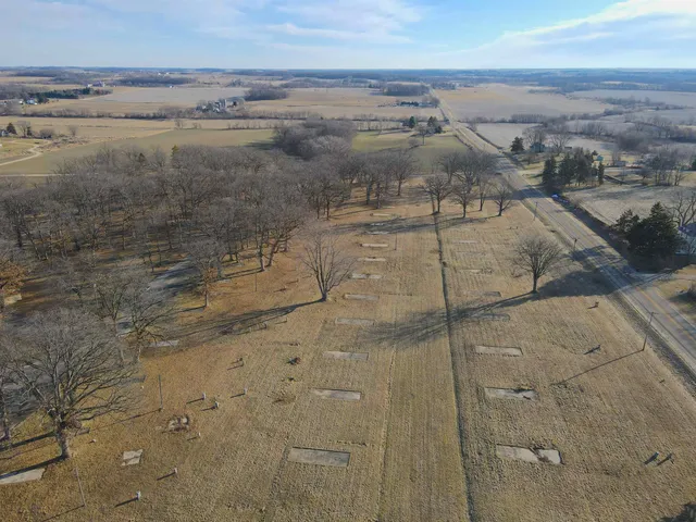 a view of dirt yard with large trees