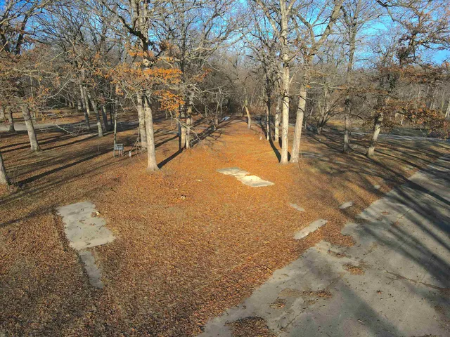 a view of trees and houses