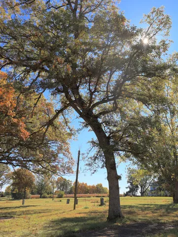 $650,000 | 4500 East River Road, Ridott, IL 61067