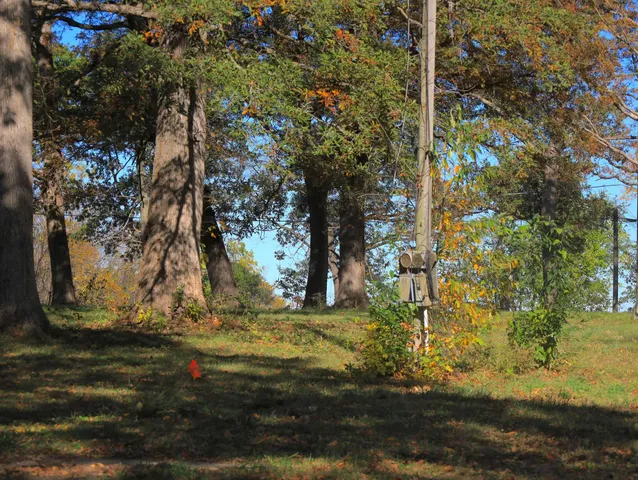 $650,000 | 4500 East River Road, Ridott, IL 61067