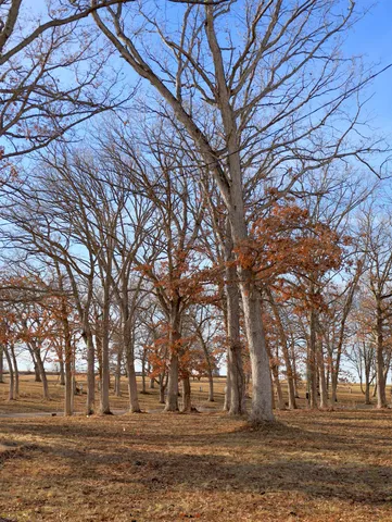 $595,000 | 4500 East River Road, Ridott, IL 61067