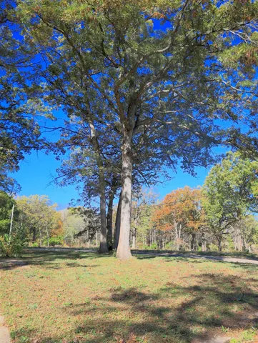 $650,000 | 4500 East River Road, Ridott, IL 61067