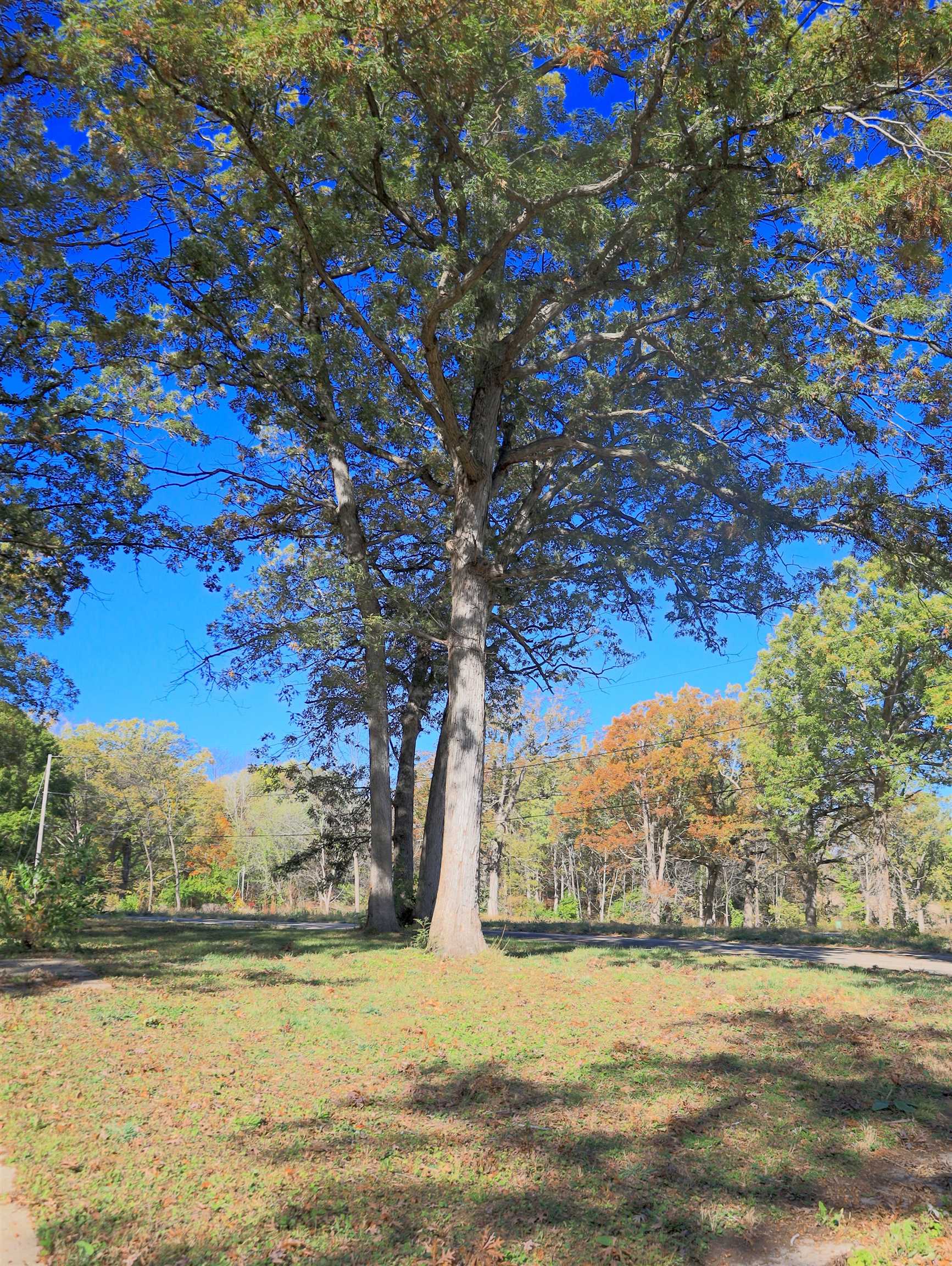 4500 East River Road Ridott, IL 61067 - Photo 33 of 37 a view of lake with mountain