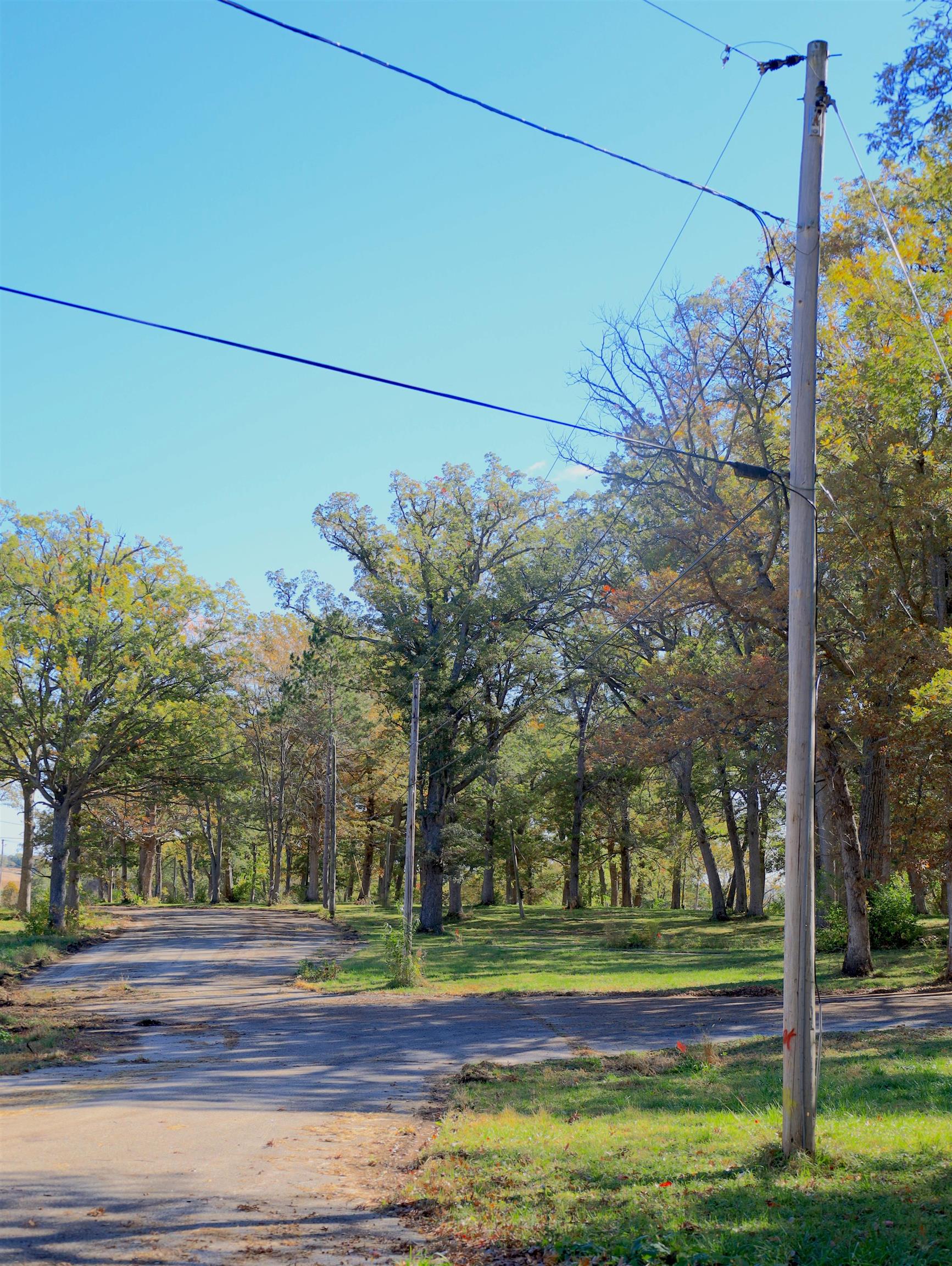 4500 East River Road Ridott, IL 61067 - Photo 34 of 37 a view of a yard in front of a house