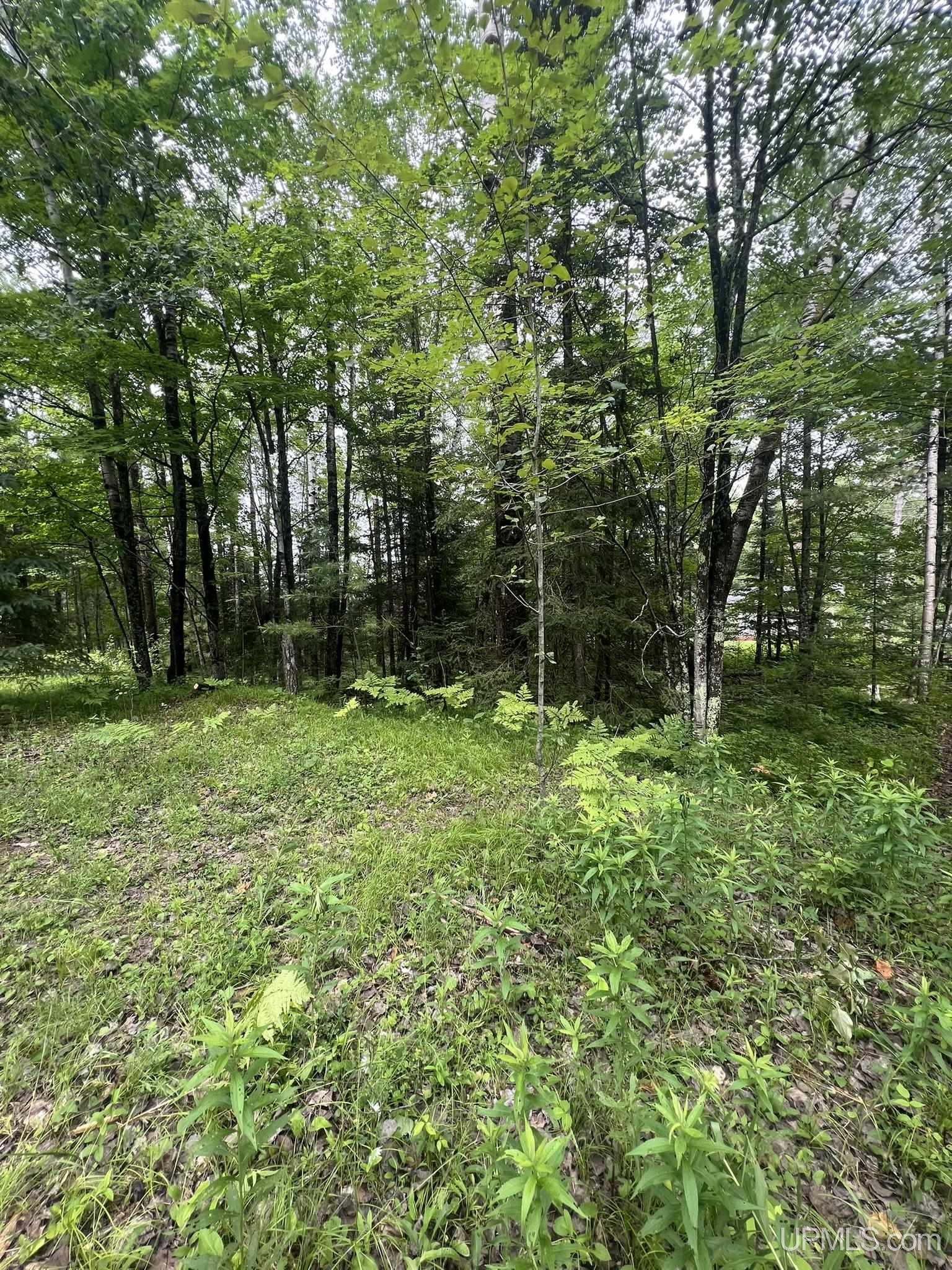 Tbd Waucedah Road Vulcan, MI 49892 - Photo 3 of 16