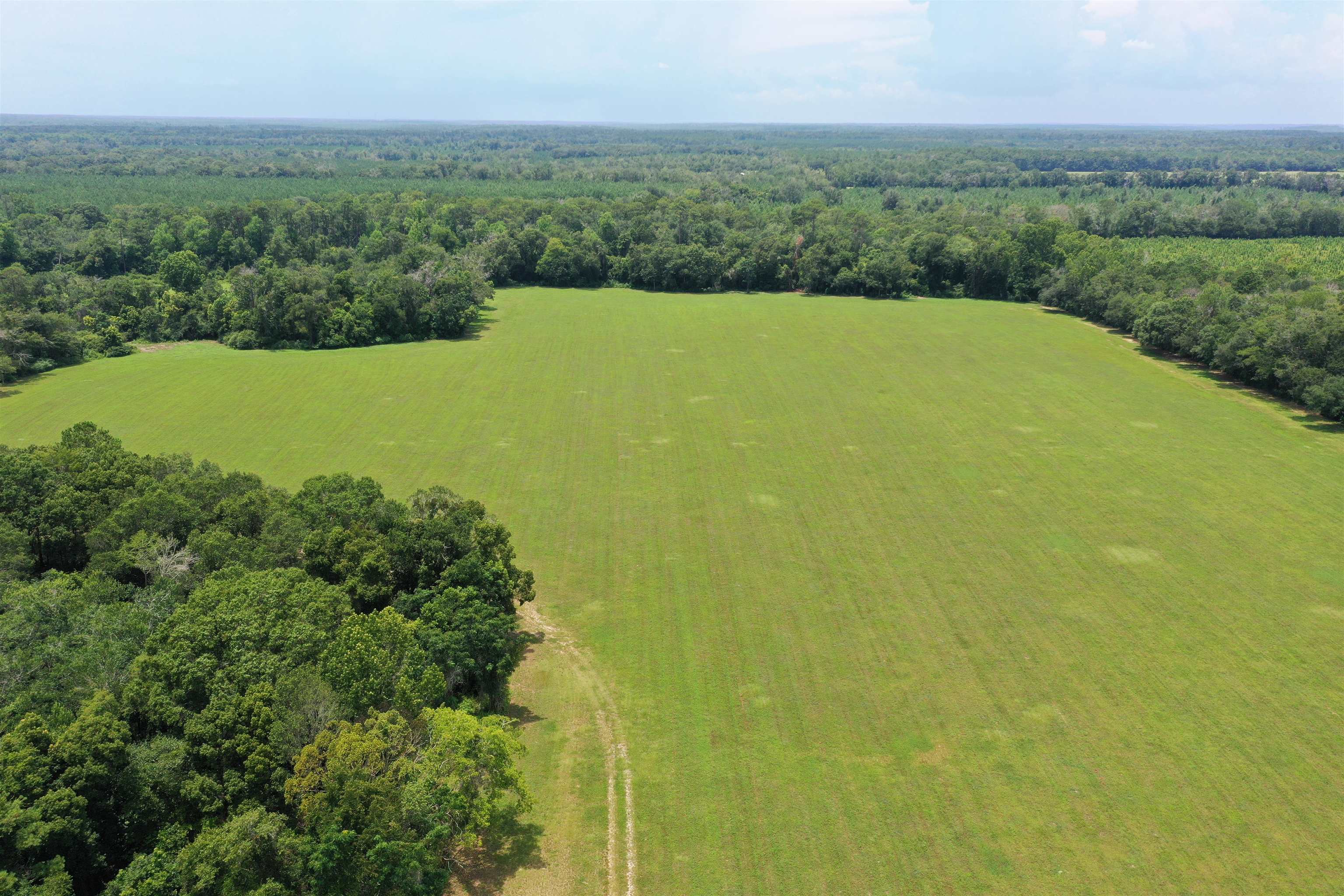 Xx Xx Max Herrin Road Quincy, FL 32352 - Photo 9 of 46