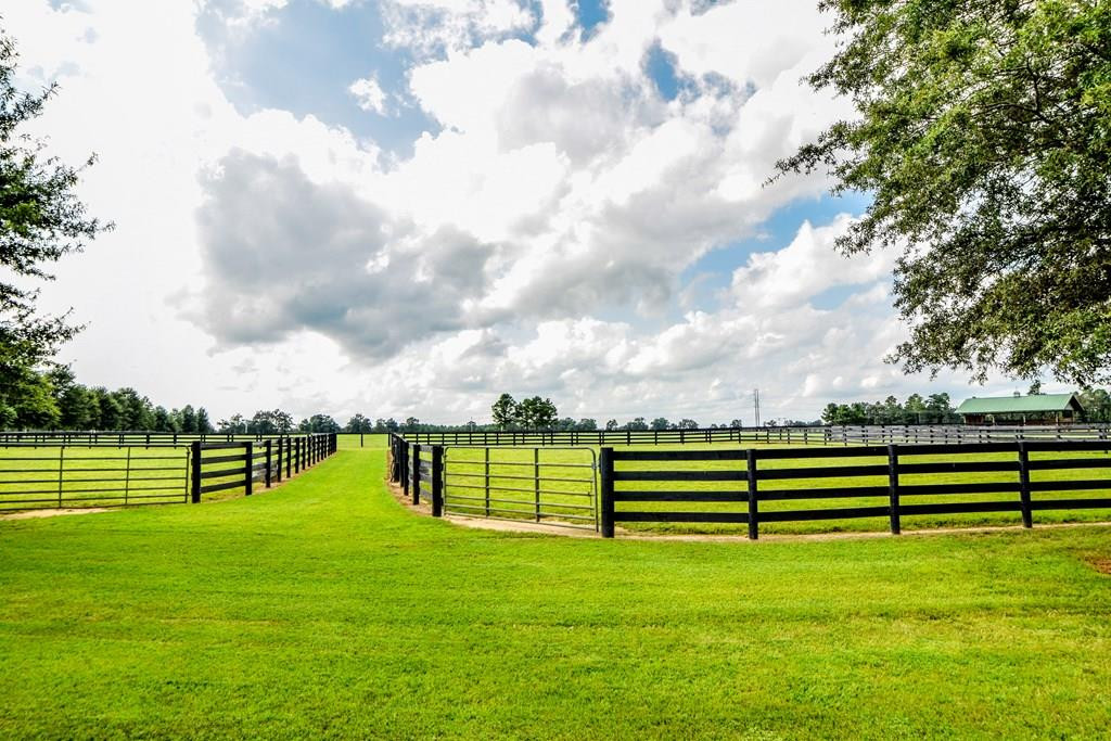 491 Burkelo Road Salley, SC 29137 - Photo 28 of 48