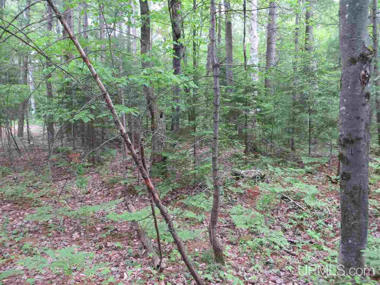 Tbd Ramsdam Road Manistique, MI 49854 - Photo 14 of 21 Gallery Image 14
