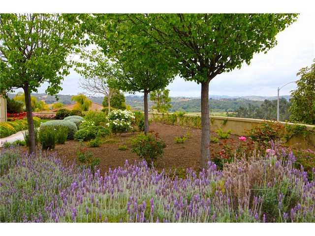 4010 Limber Pine Road Fallbrook, CA 92028 - Photo 22 of 24 Side yard offers lavender and roses with southernly views of the hills.