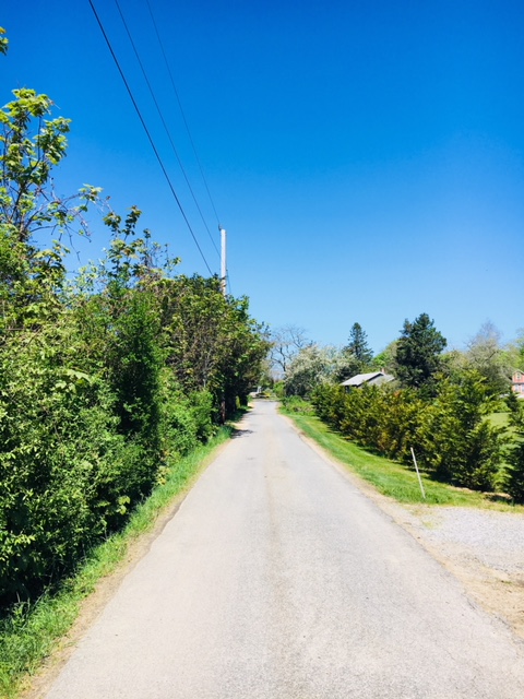 16 Mill Hill Road Edgartown, MA 02539 - Photo 3 of 5 a view of a street