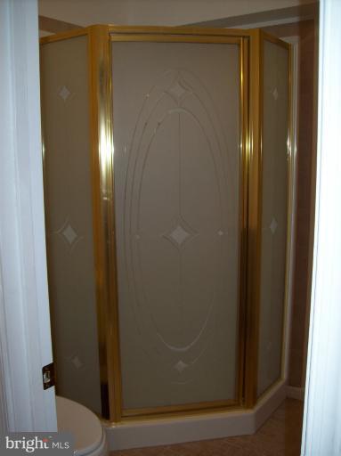 14120 Eternity Road Germantown, MD 20874 - Photo 20 of 29 Lower level full bath shower