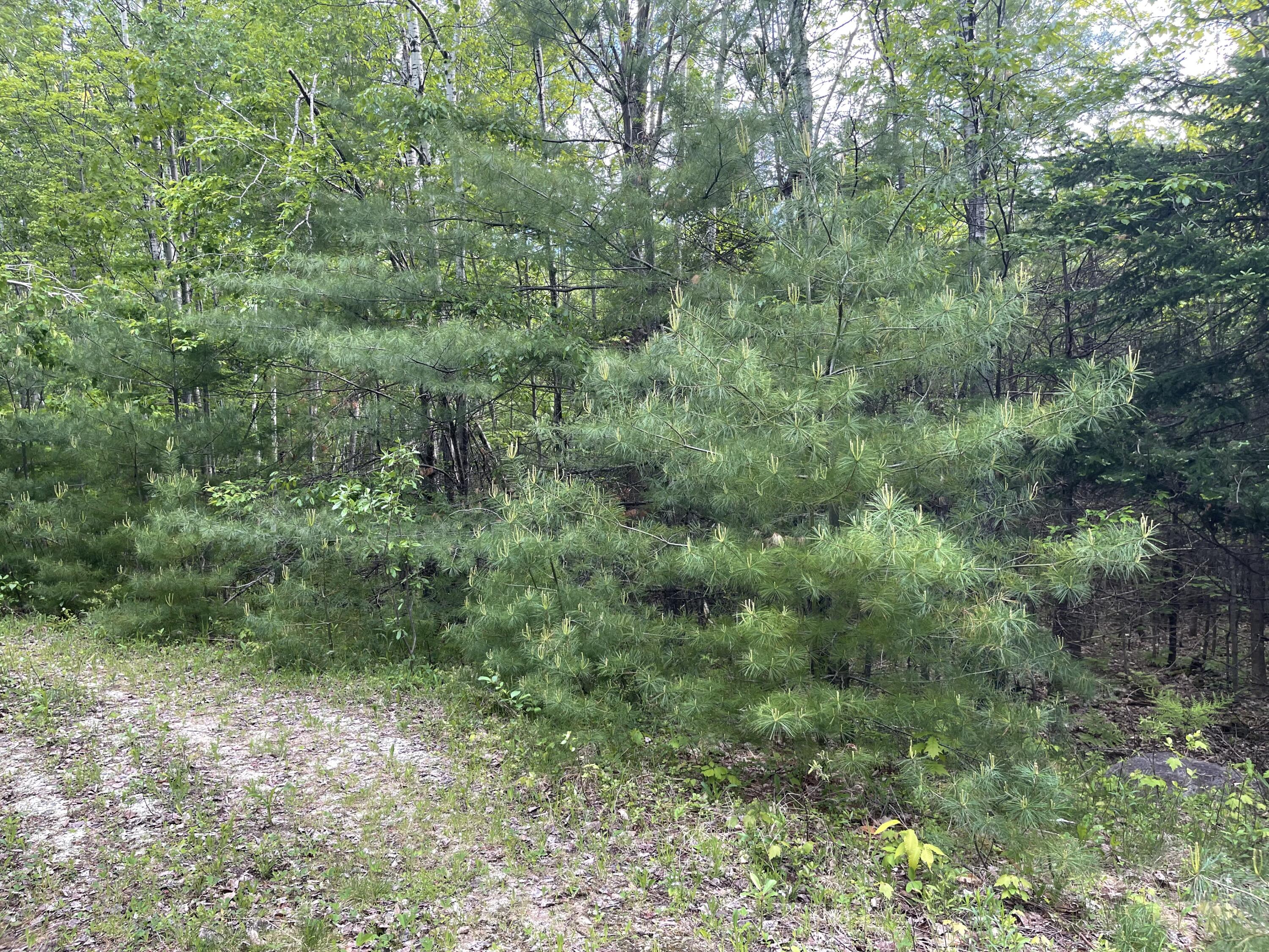 Lot#4 Farms Edge Road Bridgton, ME 04009 - Photo 2 of 3 EAA63B87-D5DC-4CC9-B509-0911B837DBBA