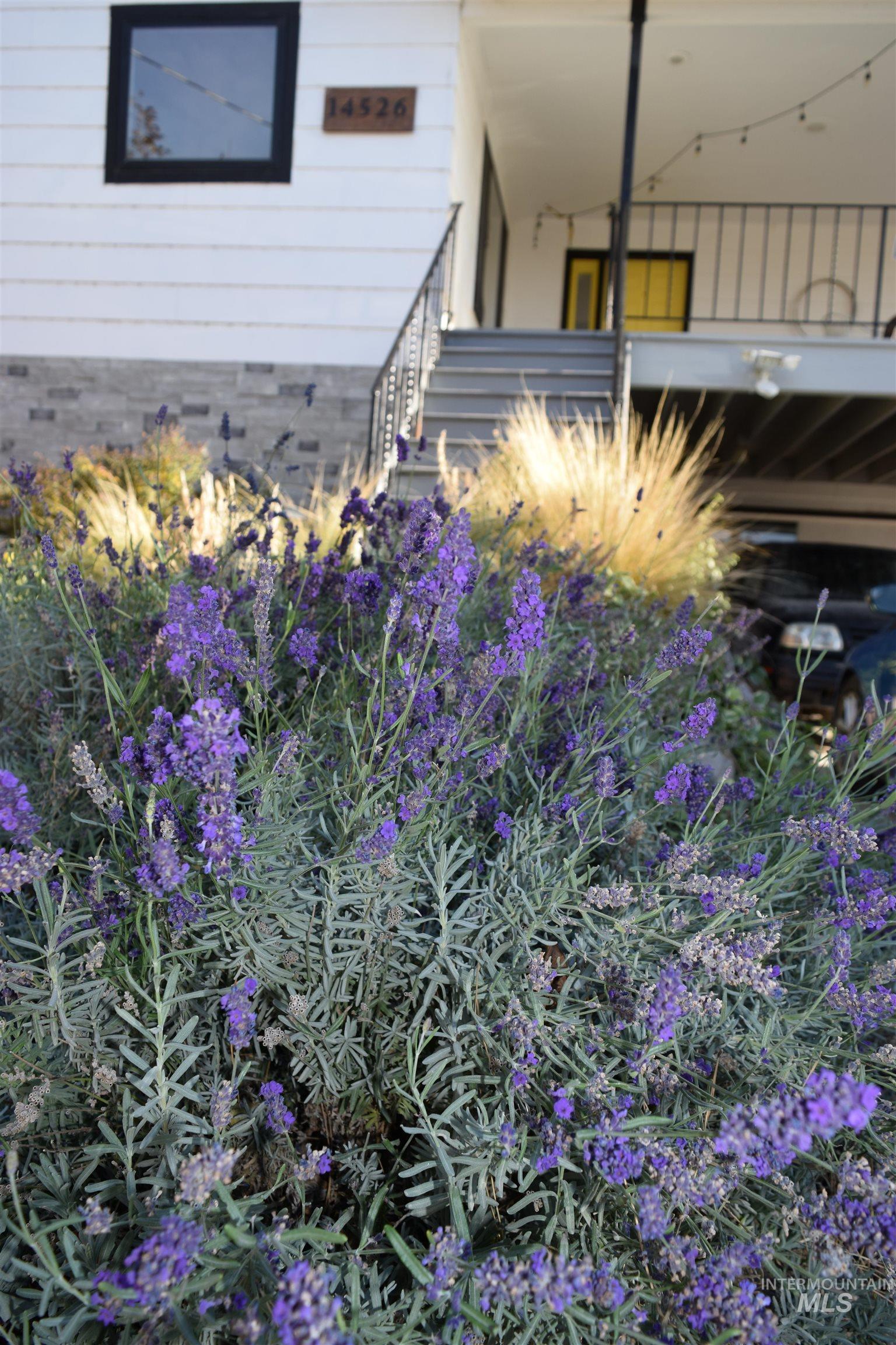 14526 Perfection Lane Caldwell, ID 83607 - Photo 40 of 47 Lush lavender bushes provide vibrant foreground landscaping for this property featuring a white exterior with black trim, a stone-finish foundation, and a prominent exterior staircase with metal railings