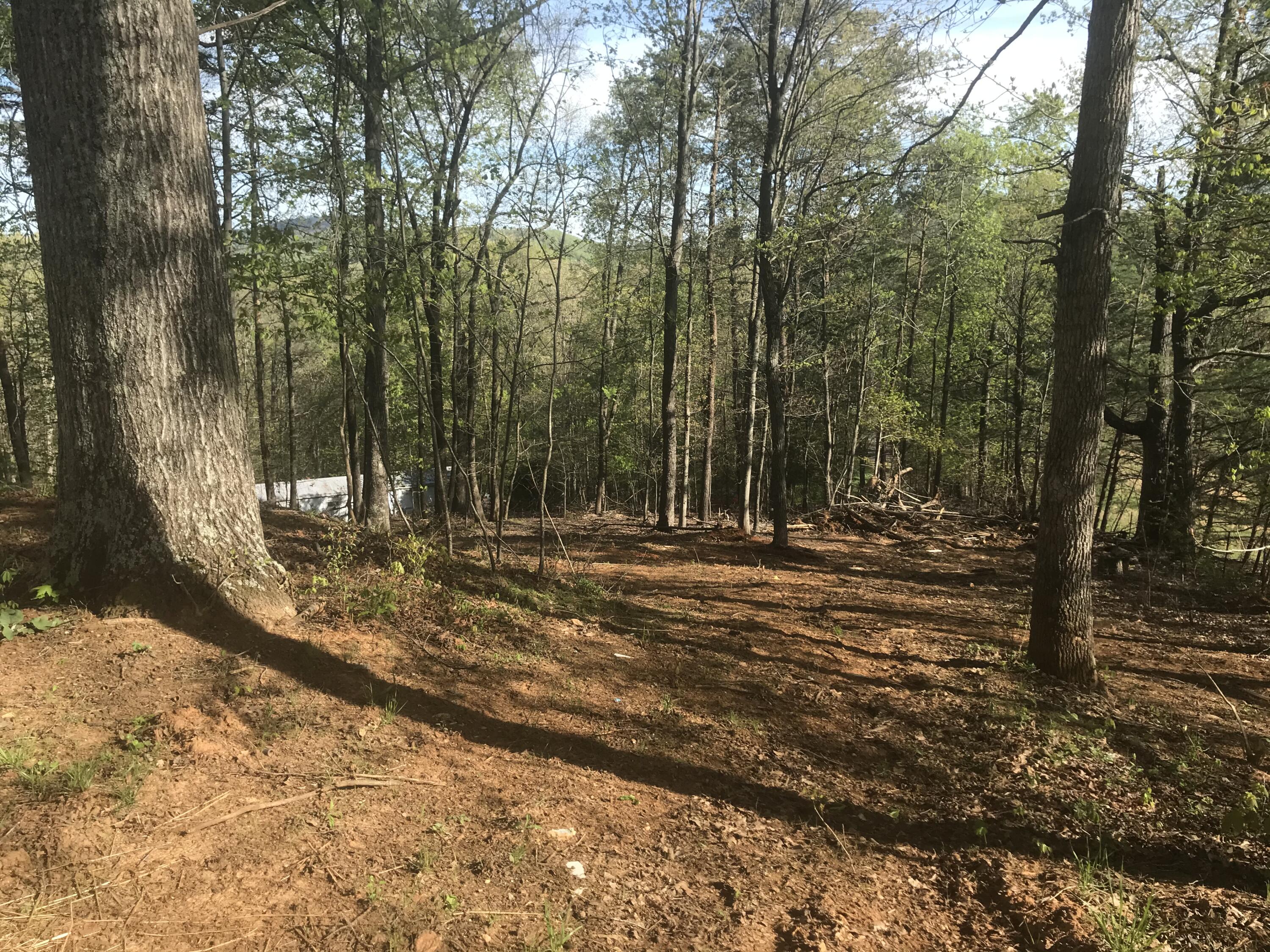 100 Lookout Ridge Road Blue Ridge, VA 24064 - Photo 3 of 11 a view of outdoor space with trees