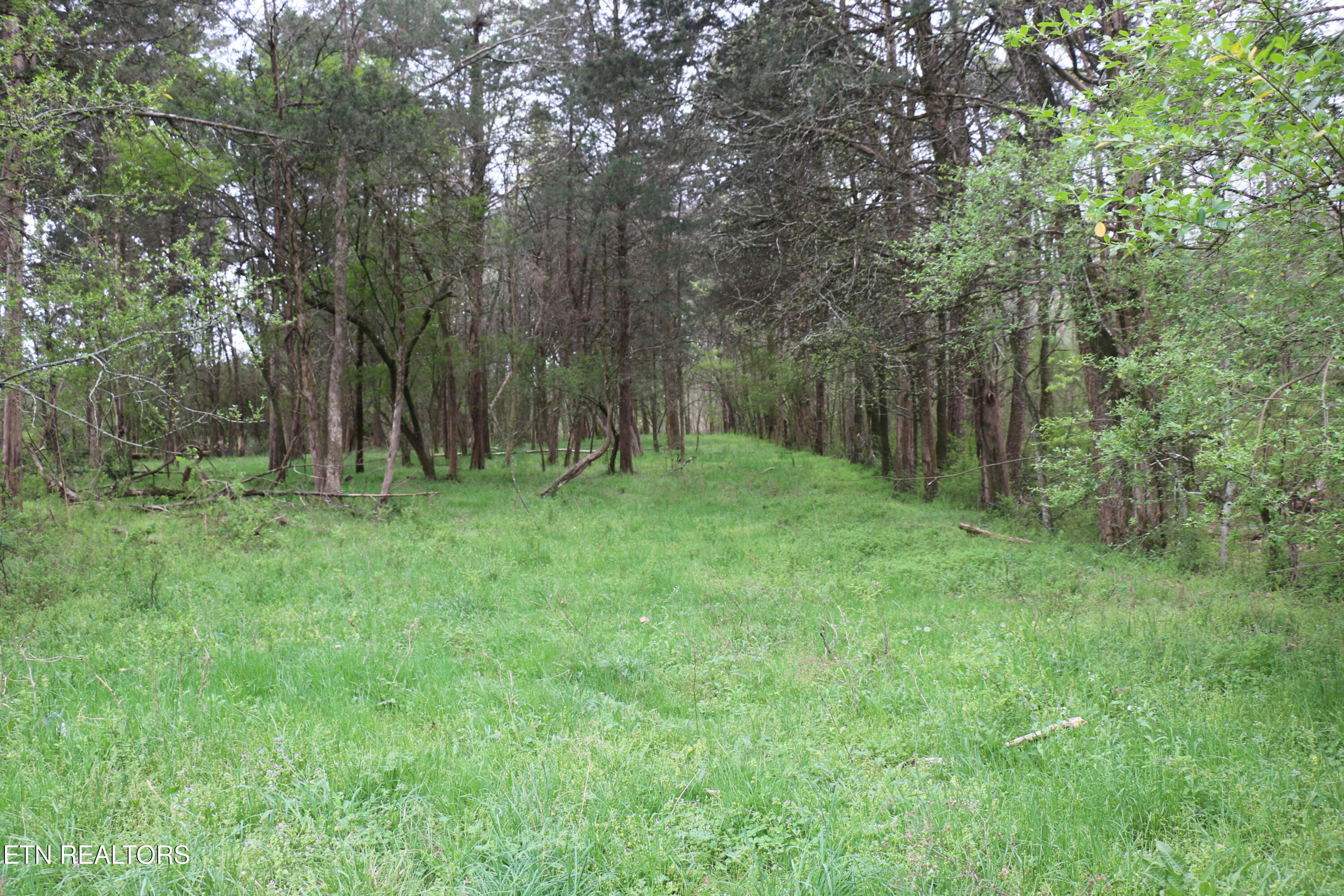 10.62-acrs Campground Road Madisonville, TN 37354 - Photo 11 of 19 IMG_8346
