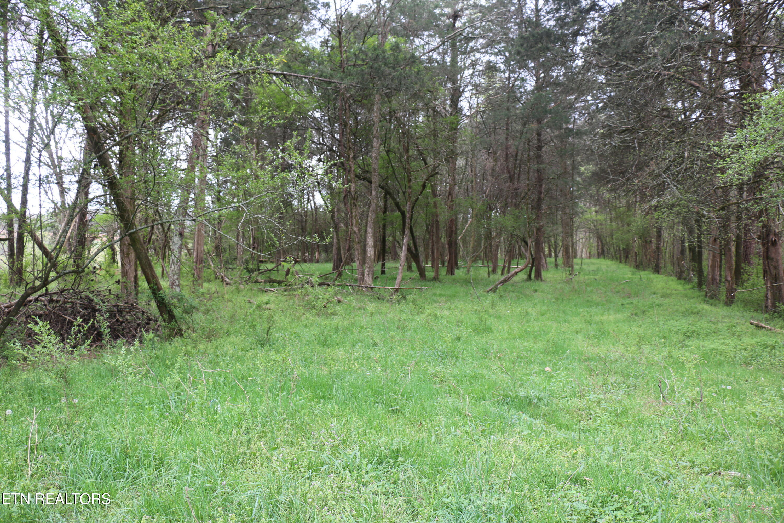 10.62-acrs Campground Road Madisonville, TN 37354 - Photo 12 of 19 IMG_8347