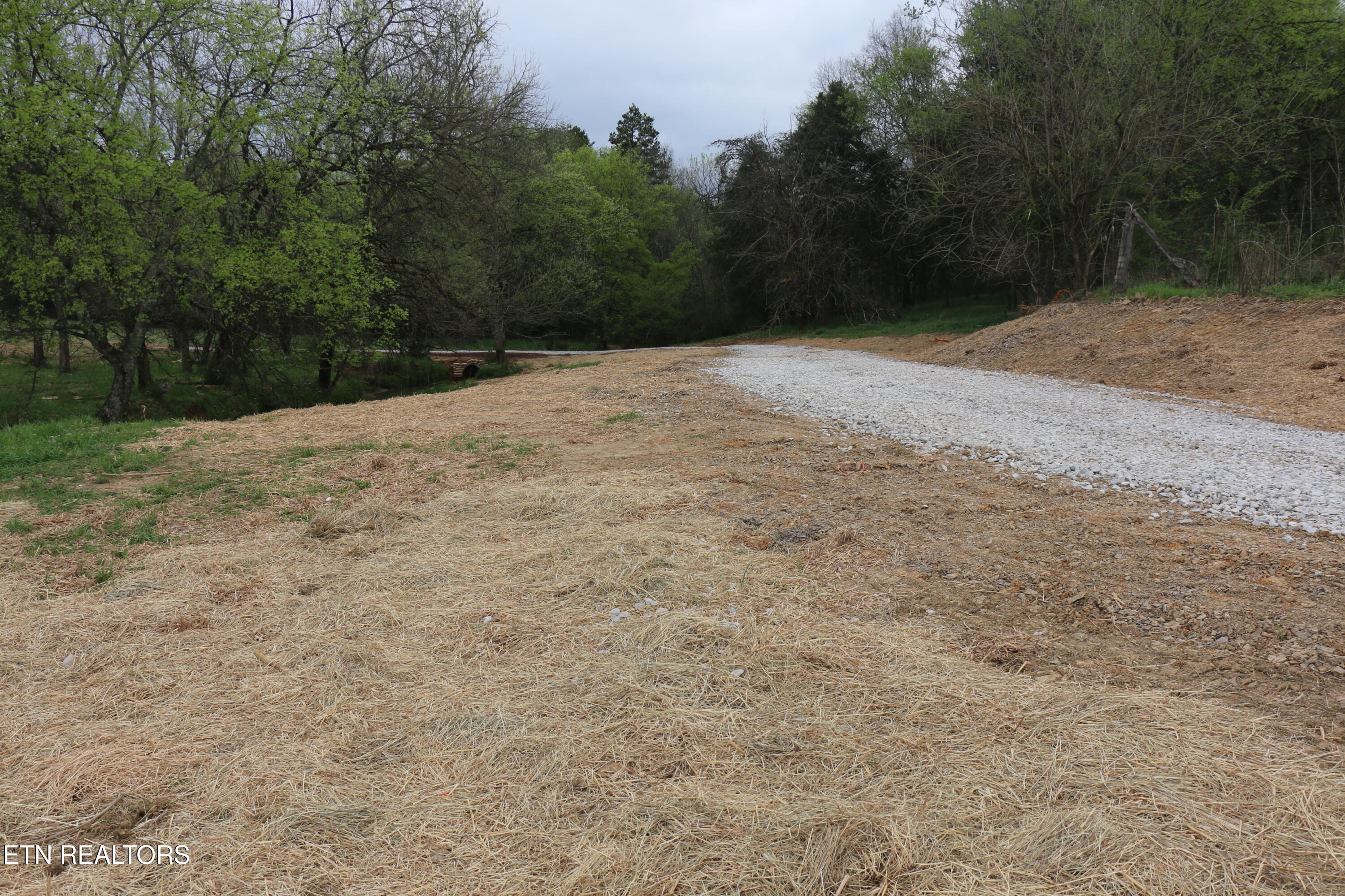 10.62-acrs Campground Road Madisonville, TN 37354 - Photo 3 of 19 IMG_8339