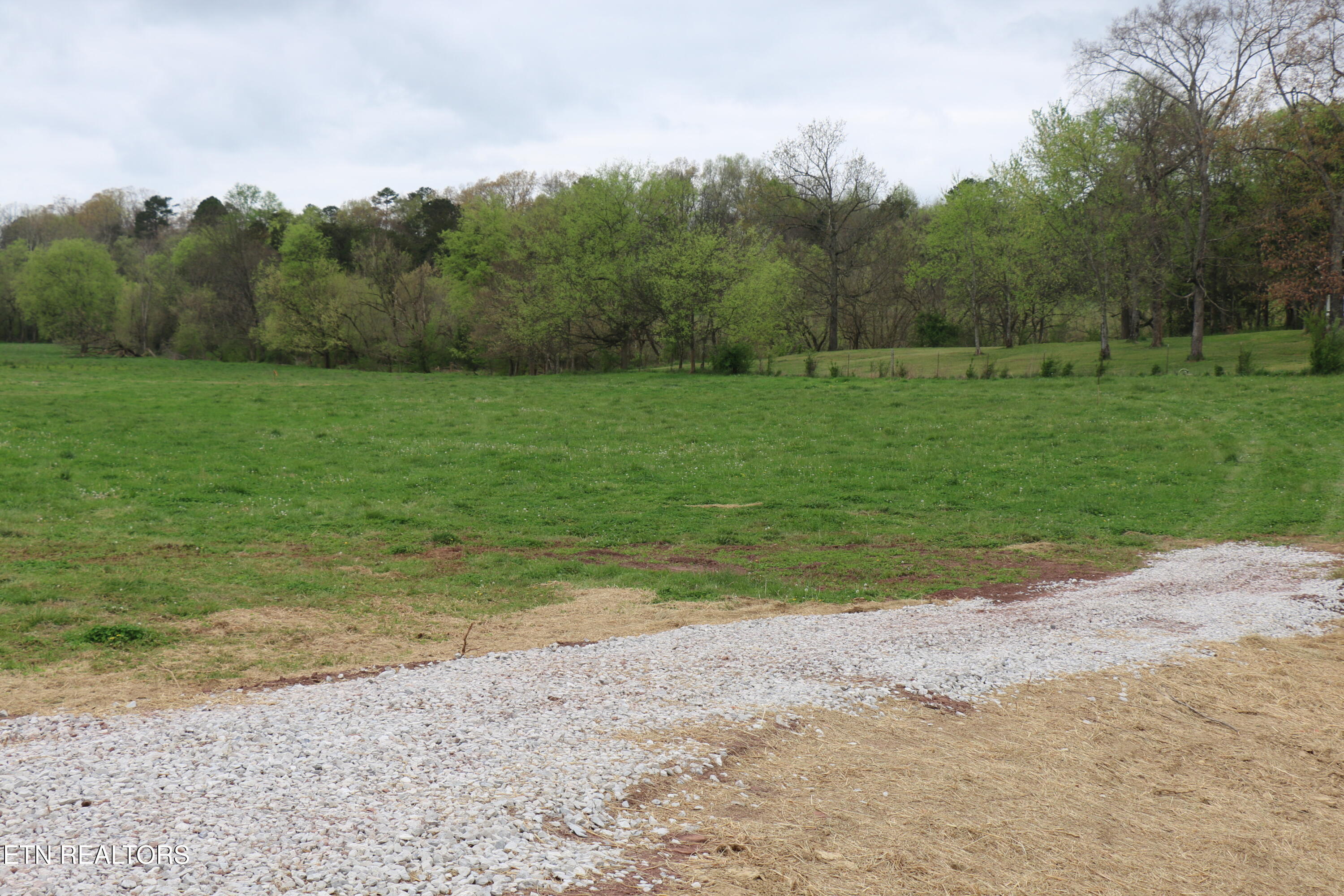 10.62-acrs Campground Road Madisonville, TN 37354 - Photo 5 of 19 IMG_8369
